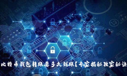 比特币钱包转账要多久到账？专家揭秘独家秘诀