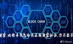 专家解密：比特币钱包冷