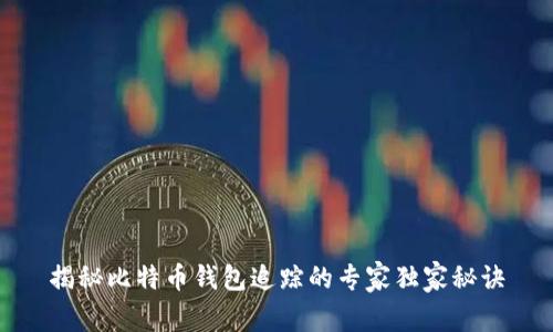 揭秘比特币钱包追踪的专家独家秘诀