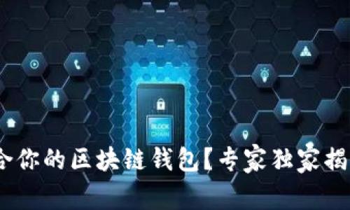 如何找到最适合你的区块链钱包？专家独家揭秘3个实用秘诀
