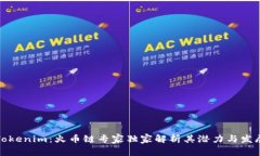 揭秘Tokenim：火币链专家独