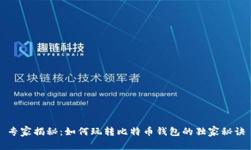 专家揭秘：如何玩转比特币钱包的独家秘诀
