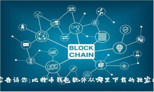 专家告诉你：比特币钱包软件从哪里下载的独家秘诀