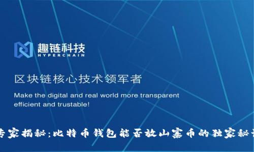 专家揭秘：比特币钱包能否放山寨币的独家秘诀