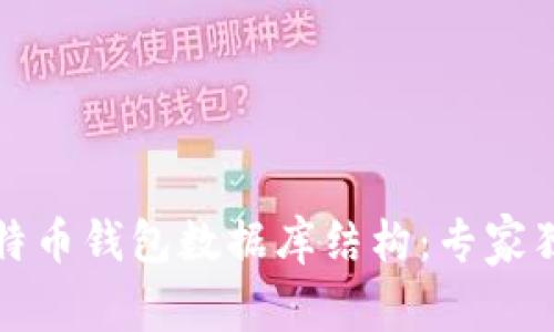 全面解析比特币钱包数据库结构：专家独家揭秘秘诀