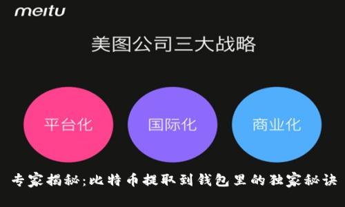 专家揭秘：比特币提取到钱包里的独家秘诀