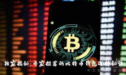 独家揭秘：专家推荐的比特币钱包选择秘诀