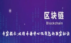 专家揭示：比特币去中心