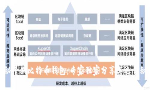 揭秘早期比特币钱包：专家独家分享其运作秘诀