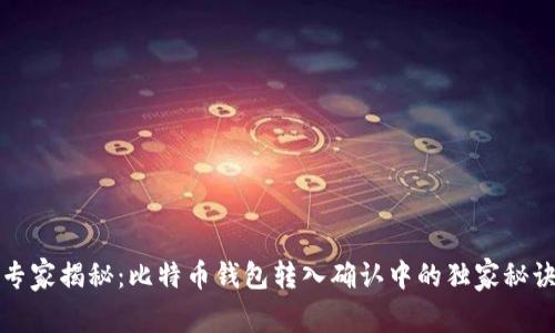 专家揭秘：比特币钱包转入确认中的独家秘诀