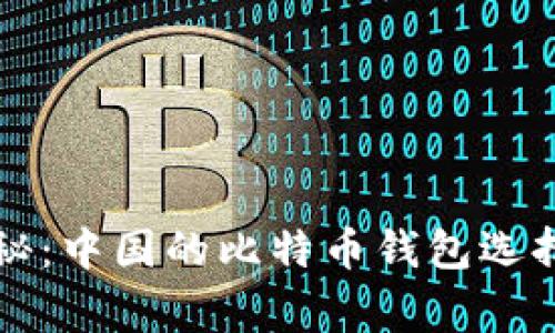 专家独家揭秘：中国的比特币钱包选择与使用秘诀