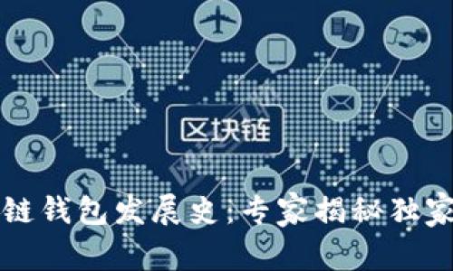 区块链钱包发展史：专家揭秘独家秘诀