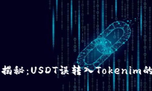 专家独家揭秘：USDT误转入Tokenim的解决秘诀