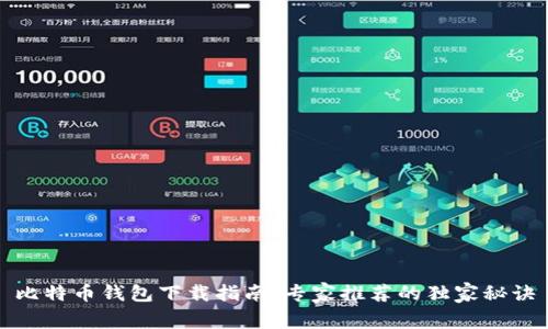比特币钱包下载指南：专家推荐的独家秘诀