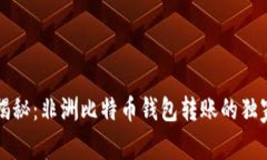 专家揭秘：非洲比特币钱