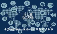 专家独家揭秘：波场USDT钱
