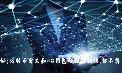 专家揭秘：比特币分叉和HD钱包的独家秘诀，你不得不知道！