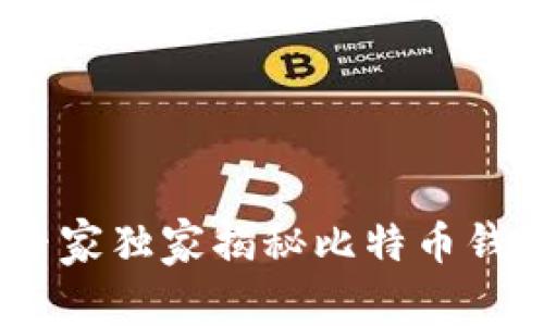 现金流的未来：专家独家揭秘比特币钱包私钥调节秘诀