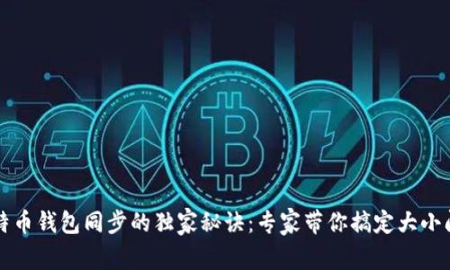 比特币钱包同步的独家秘诀：专家带你搞定大小问题