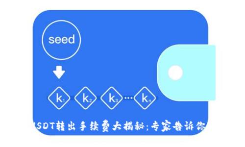 冷钱包USDT转出手续费大揭秘：专家告诉你独家秘诀