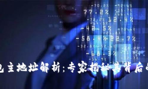 比特币钱包主地址解析：专家揭秘其背后的独家秘诀