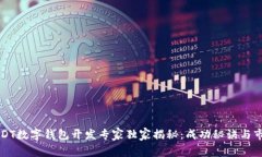深圳USDT数字钱包开发专家