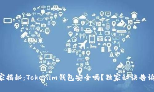 专家揭秘：Tokenim钱包安全吗？独家秘诀告诉你！