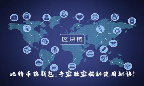 比特币狼钱包：专家独家揭秘使用秘诀!