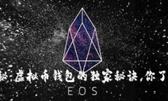 专家揭秘：虚拟币钱包的