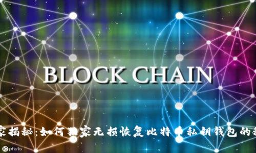 专家揭秘：如何独家无损恢复比特币私钥钱包的秘诀