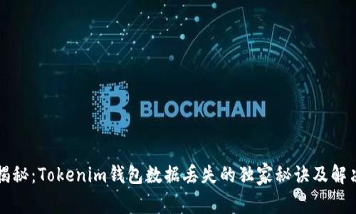 专家揭秘：Tokenim钱包数据丢失的独家秘诀及解决方案