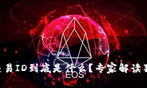 区块链交易ID到底是什么？专家解读独家秘诀！