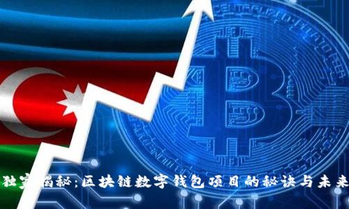 专家独家揭秘：区块链数字钱包项目的秘诀与未来趋势