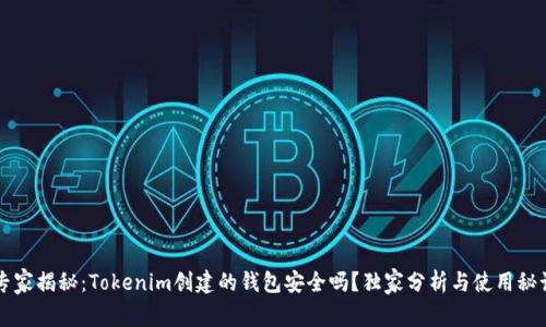专家揭秘：Tokenim创建的钱包安全吗？独家分析与使用秘诀