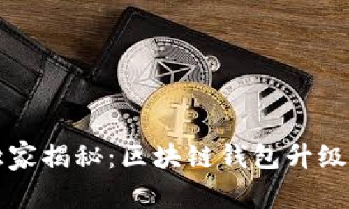 专家独家揭秘：区块链钱包升级的秘诀