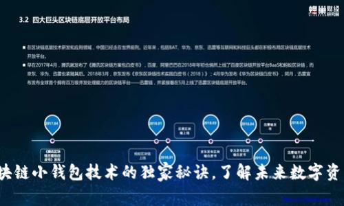 专家揭秘：区块链小钱包技术的独家秘诀，了解未来数字资产的保障方式