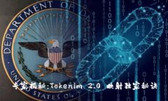 专家揭秘：Tokenim 2.0 映射