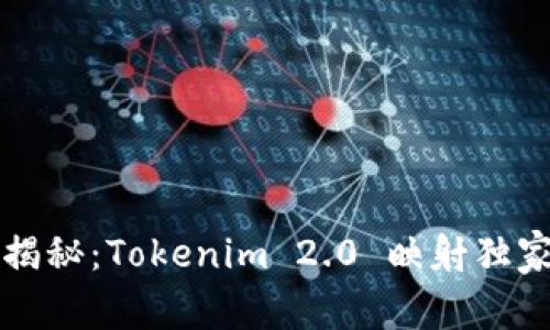 专家揭秘：Tokenim 2.0 映射独家秘诀