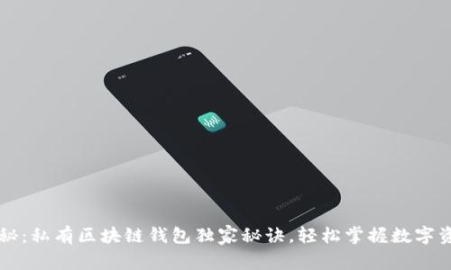 专家揭秘：私有区块链钱包独家秘诀，轻松掌握数字资产管理