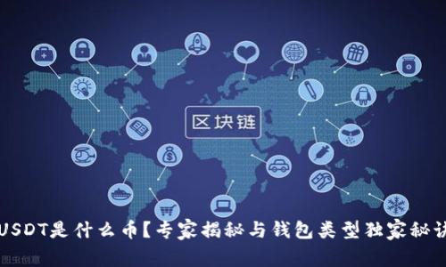 USDT是什么币？专家揭秘与钱包类型独家秘诀