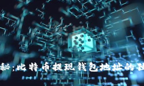 专家揭秘：比特币提现钱包地址的独家秘诀