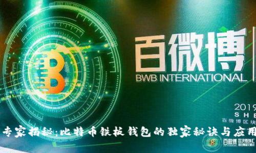 专家揭秘：比特币铁板钱包的独家秘诀与应用