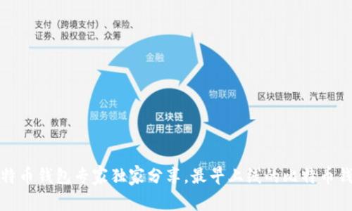 揭秘：比特币钱包专家独家分享，最早上线的比特币钱包秘诀！