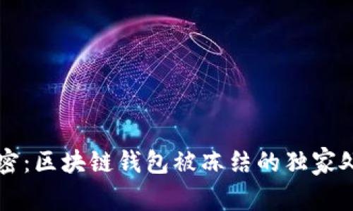 专家揭密：区块链钱包被冻结的独家处理秘诀