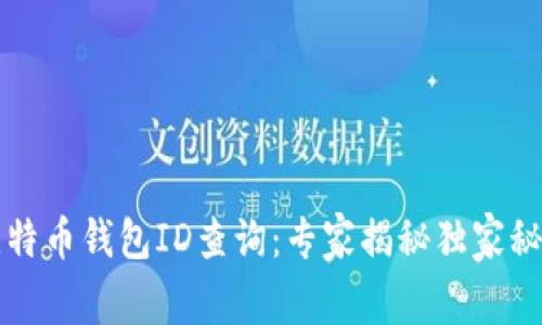 比特币钱包ID查询：专家揭秘独家秘诀