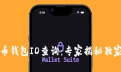 比特币钱包ID查询：专家揭