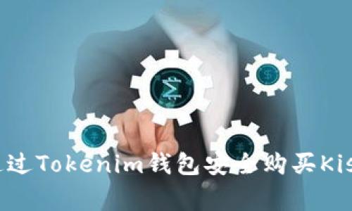 专家解密：如何通过Tokenim钱包安全购买Kishu币的独家秘诀