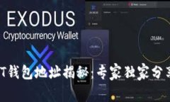 ### USDT钱包地址揭秘：专家