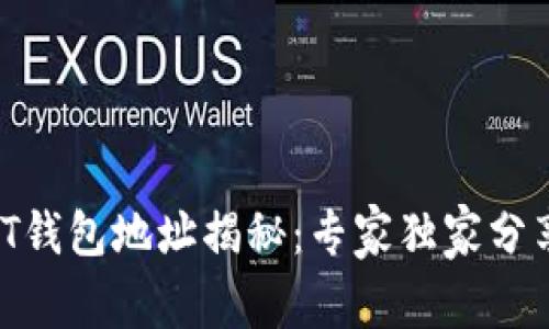 ### USDT钱包地址揭秘：专家独家分享使用秘诀！