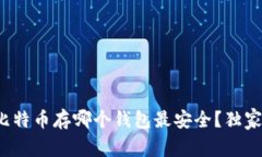 专家揭秘：比特币存哪个